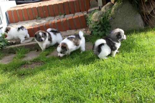 Alle draussen mit 4 Wochen